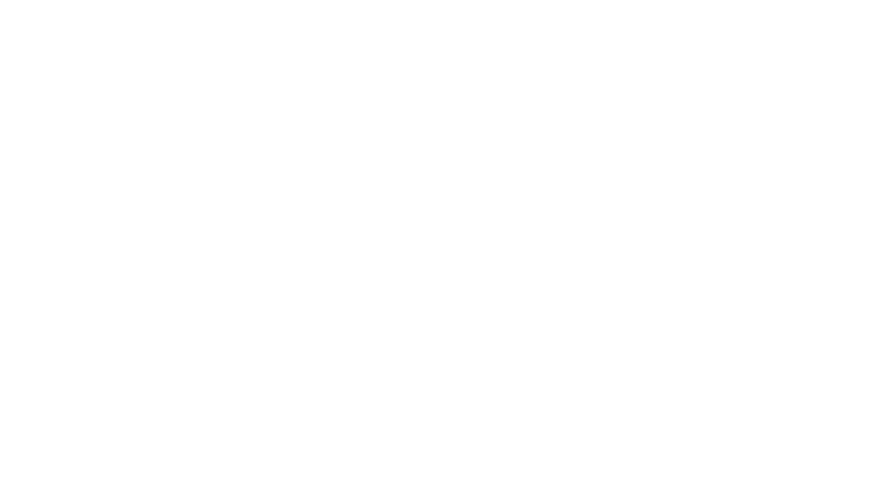 Sáez Cranes